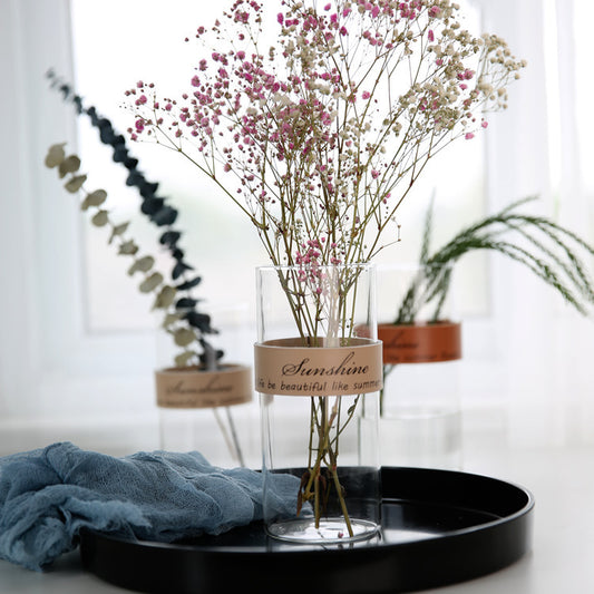 Nordic Simple Transparent Flower Vase