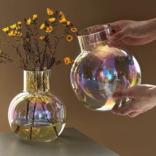 Transparent Hydroponic Flower Vase