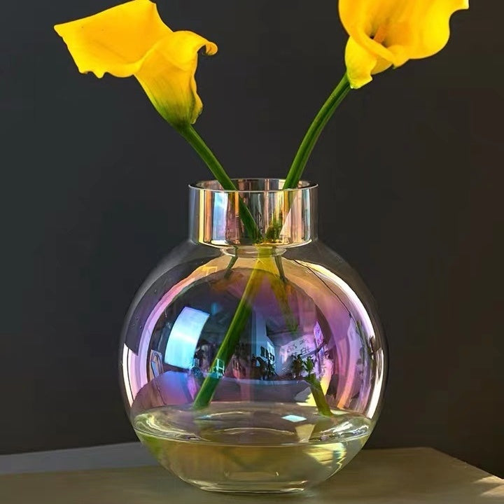 Transparent Hydroponic Flower Vase