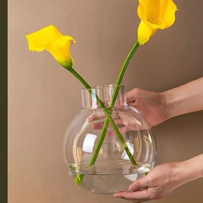 Transparent Hydroponic Flower Vase